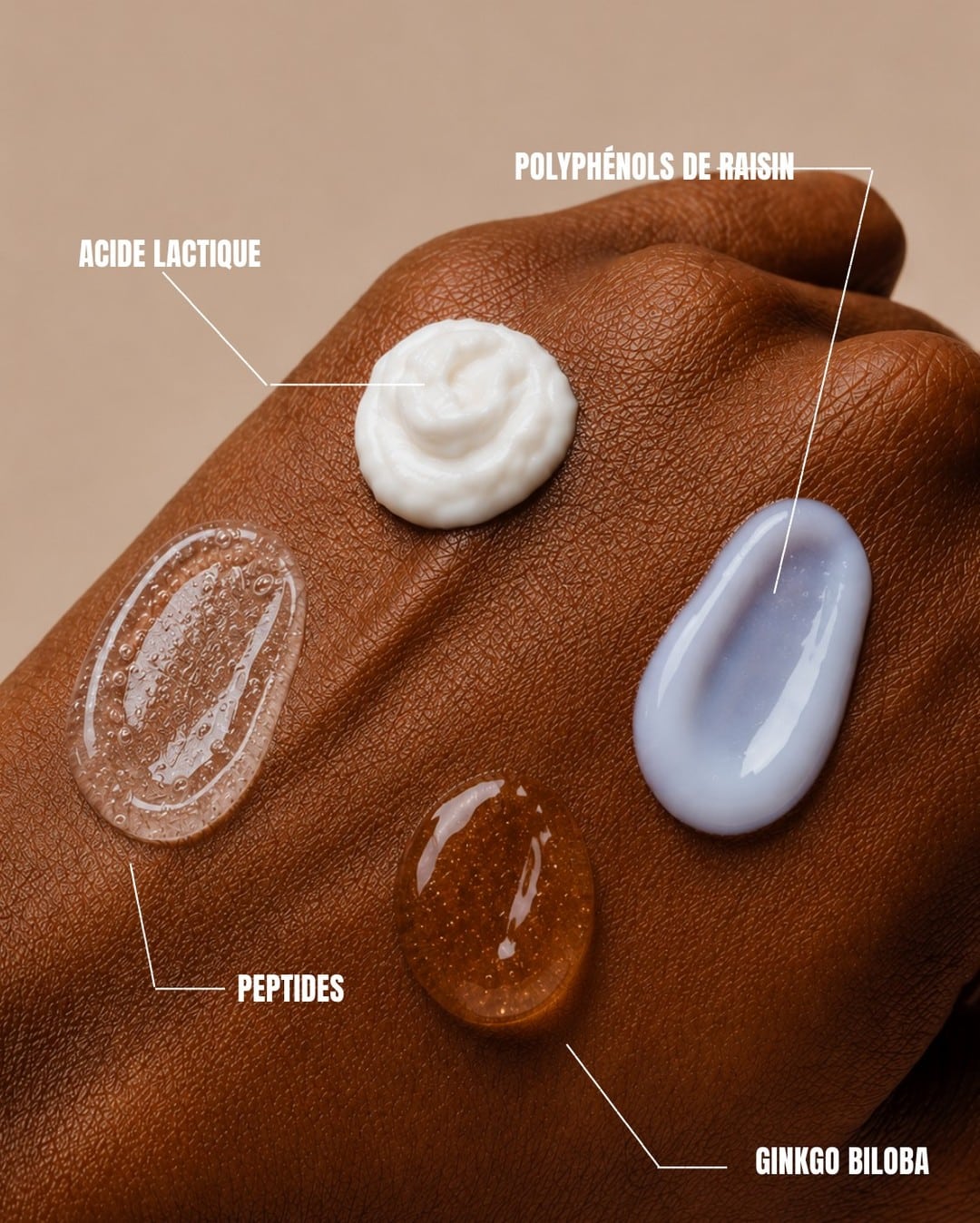 La rentree version glow Les polyphenols de raisin sont 1 - Ploneour Lanvern Pont Labbe La rentree version glow Les polyphenols de raisin sont 1 - Ploneour Lanvern Pont Labbe